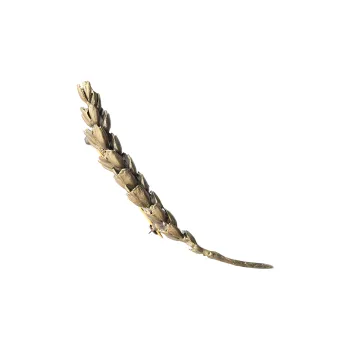 Michael Michaud Brooches Women's Bronze