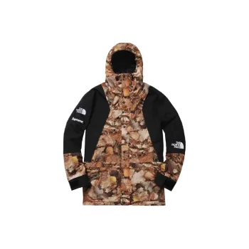 Supreme The North Face Mountain Light Jacket