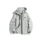 Silver Gray