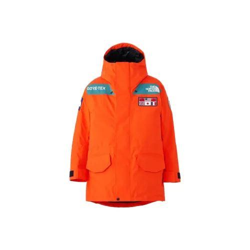 THE NORTH FACE Tae Trans Antarctica Expedition 700 Down Parka Jacket