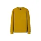 Bright Burnt Yellow