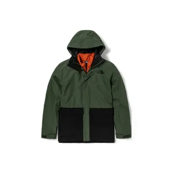 THE NORTH FACE Windbreaker Jackets Men Green