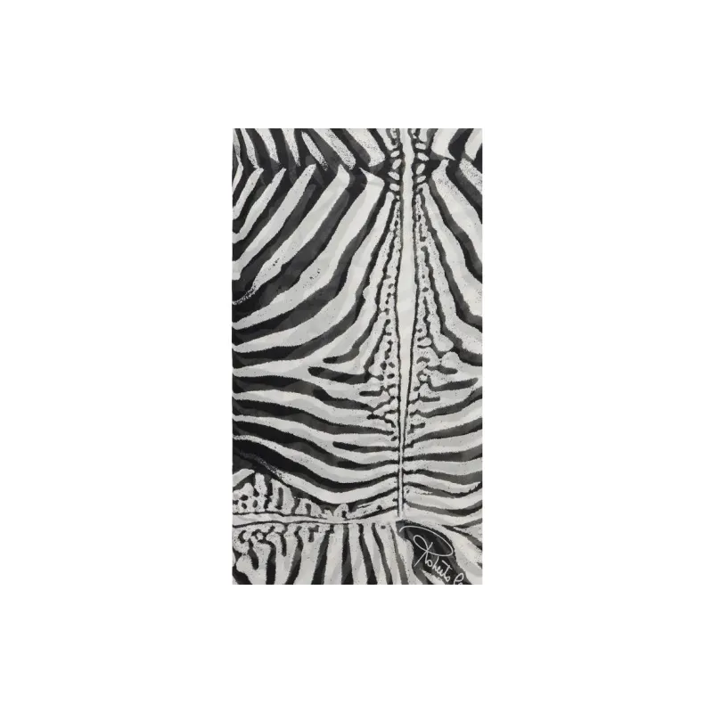 Roberto Cavalli Silk Scarf-2