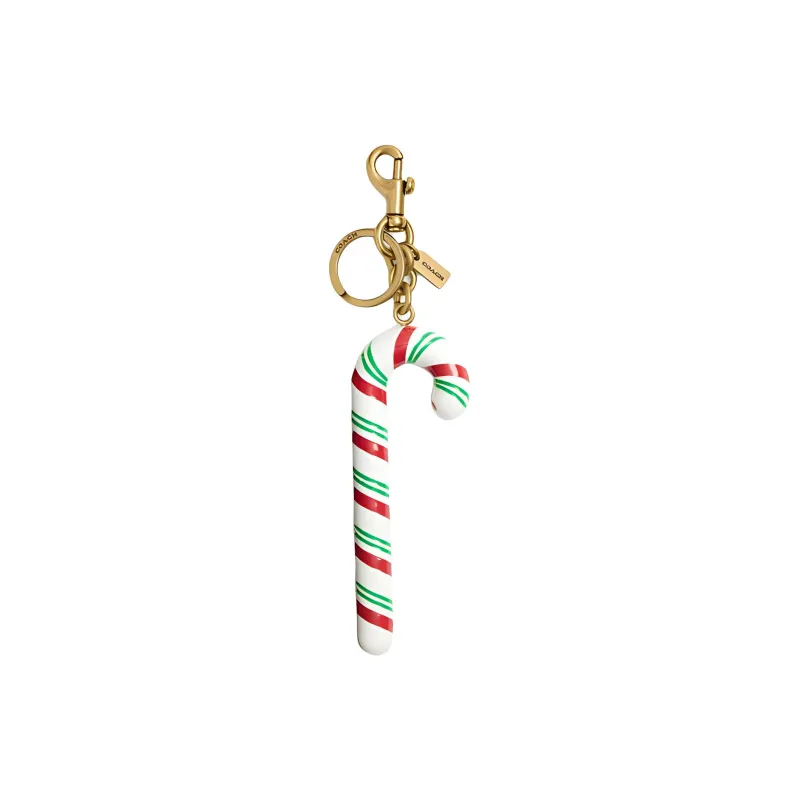 COACH Resin Pendants Unisex Multicolor-0