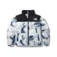 Earth Print Color