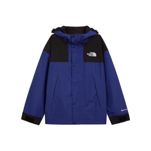 THE NORTH FACE Gore Tex Mountain Jacket