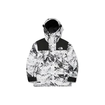 THE NORTH FACE Novelty Gtx Mountain Jacket S Nutral Gray Unisex Korea Version