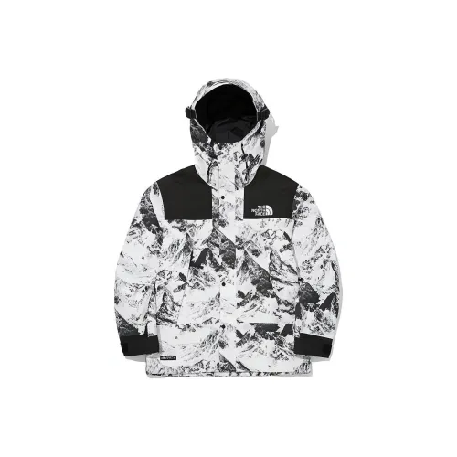 THE NORTH FACE Novelty Gtx Mountain Jacket S Nutral Gray Unisex Korea Version