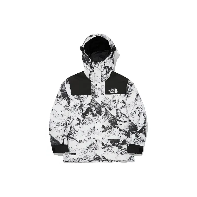 THE NORTH FACE Novelty Gtx Mountain Jacket S Nutral Gray Unisex Korea Version-0