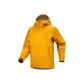 Bright yellow / edziza