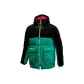 Black Green Multicolor