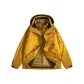 Amber Gold