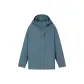 Iron Blue Gray