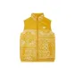 Ginger Yellow