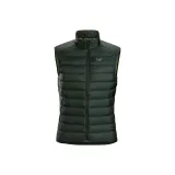 Conifer Green/Conifer