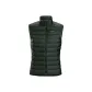 Conifer Green/Conifer
