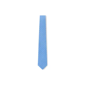 LOUIS VUITTON M79431 Lv Dual Tie