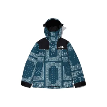 THE NORTH FACE Novelty Gtx Paisley Mountain Jacket