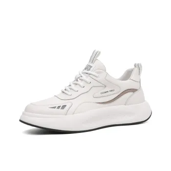 A Fairy Tale Of A Pair Of Shoes Low Top Casual Shoes Men's