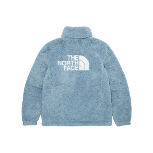THE NORTH FACE Jacket Blue Unisex Korea Version
