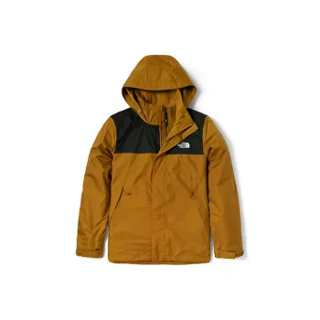 THE NORTH FACE Windbreaker Jackets Men Brown