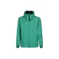 Spruce Green