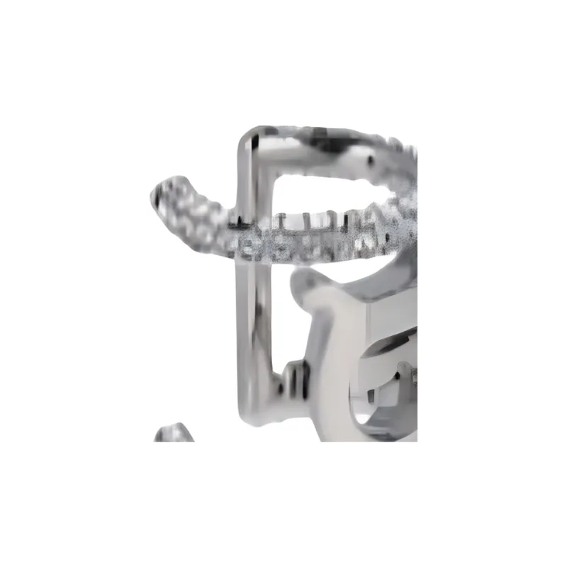 Burberry Brass, Crystal Earrings Women's Silver-2