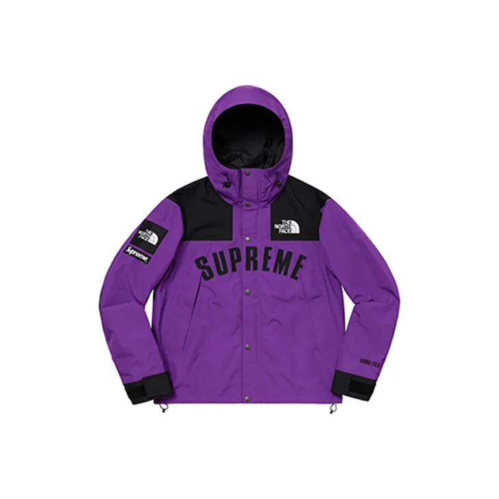 Supreme The North Face Arc Logo Mountain Parka-0