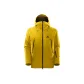 Gold Yellow