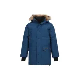 Polar Night Blue