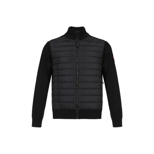 Canada Goose HyBridge Padded Panel Knit Jacket