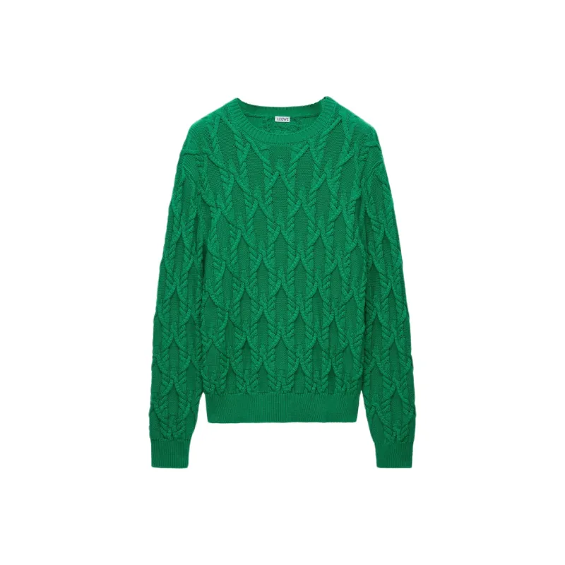 LOEWE SS25 Knitwear Men's Dark Green-0