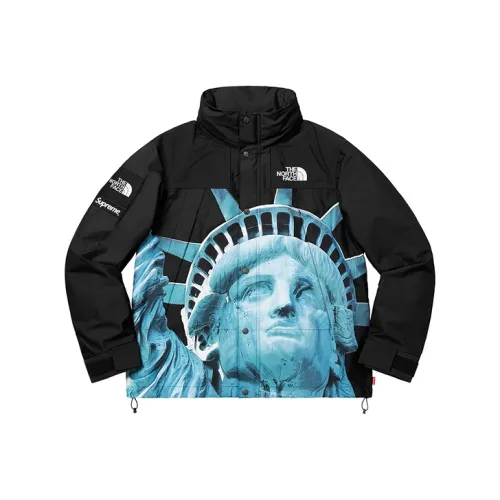 Supreme The North Face Statue Of Liberty Mountain Jacket