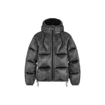 LOUIS VUITTON New Quarterly Products Of LV Down Jacket Men's Black