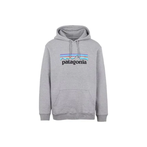 Patagonia Sweatshirt Men's Gray
