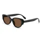 Black Frame with Tea Brown Lens[625-C2]