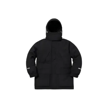 Supreme GORE TEX 700 Fill Down Parka