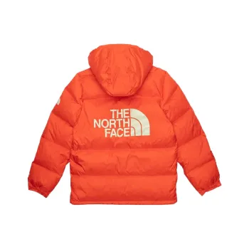 THE NORTH FACE Mens Color Block Sierra Parka
