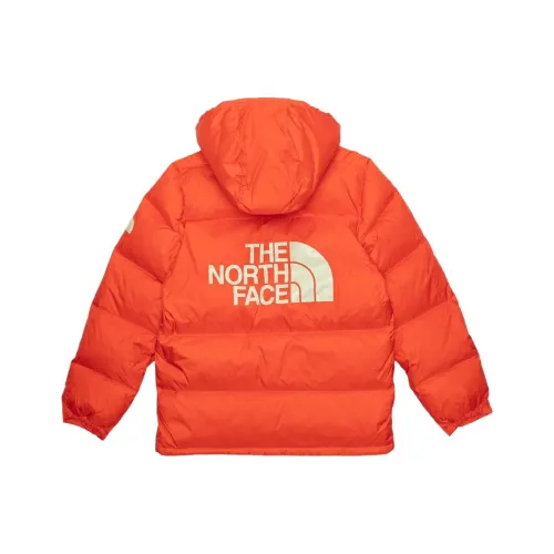 THE NORTH FACE Mens Color Block Sierra Parka