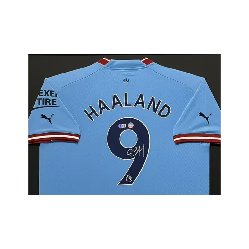 Huayitaojin Jersey Collector's Edition, Classic With EM Official Authorized Company Certificate, Framed 86x110cm Unisex-3
