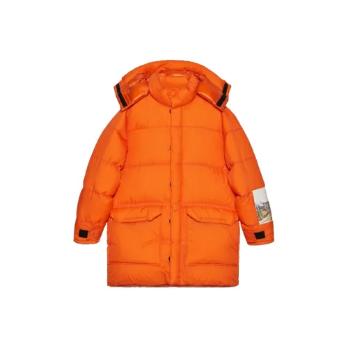 GUCCI X The North Face Down Jacket