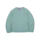 Ice Blue
