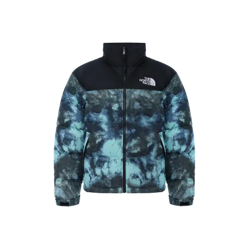 THE NORTH FACE 1996 Collection Down urban jacket Winter Men's Blue