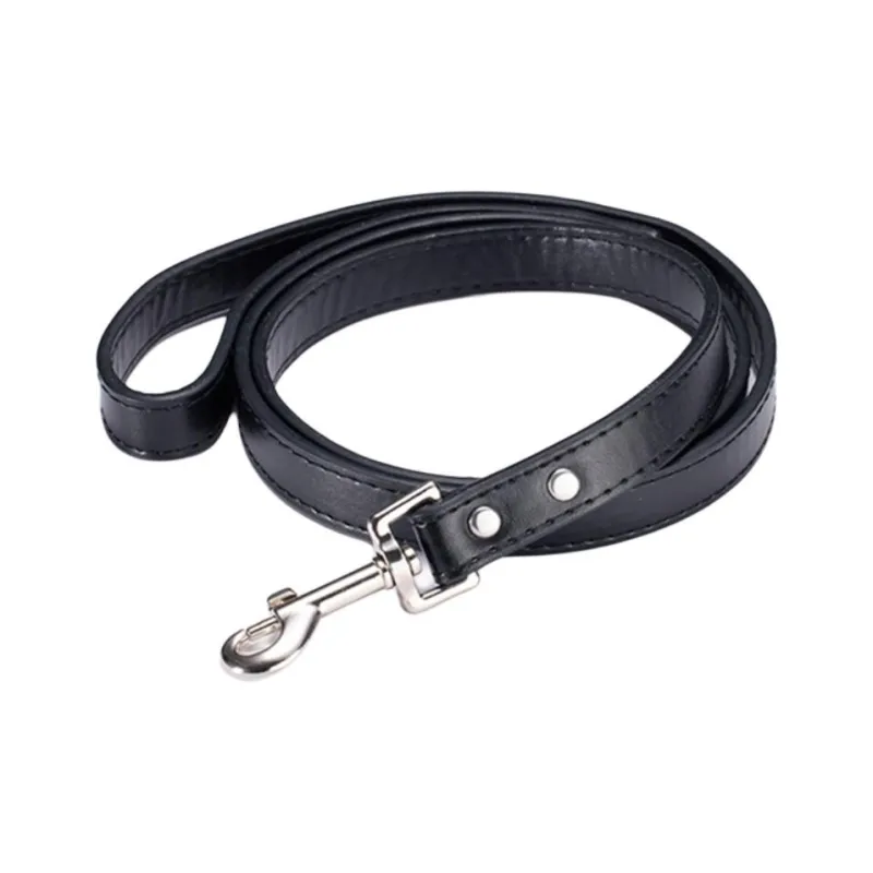 A good thing Leashes-1