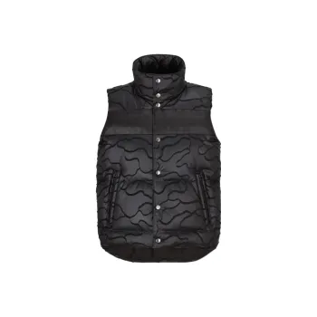 DIOR Quarterly New Products Down Jackets Unisex Black