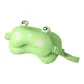 Big-Eyed Frog