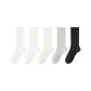 5 Pack (2 White+Milk White+Light Gray+Black)