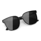 Black Frame with Black Lens (Polarized)