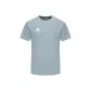 Gray Blue