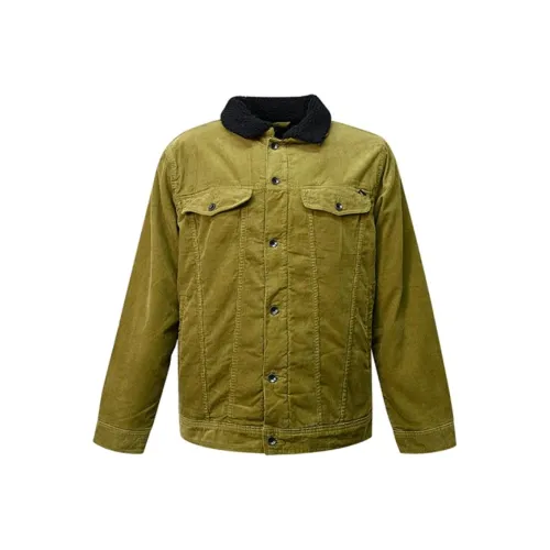 Vans Puffer rgblocks Men Yellow